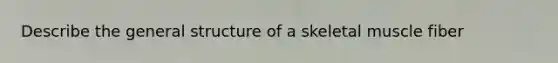 Describe the general structure of a skeletal muscle fiber