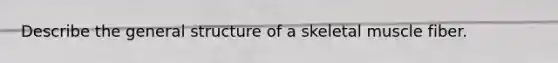 Describe the general structure of a skeletal muscle fiber.