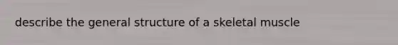 describe the general structure of a skeletal muscle