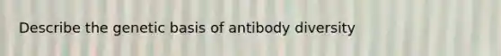 Describe the genetic basis of antibody diversity