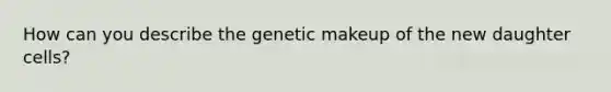 How can you describe the genetic makeup of the new daughter cells?