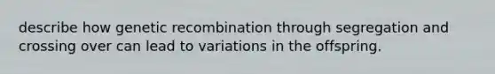 describe how genetic recombination through segregation and crossing over can lead to variations in the offspring.