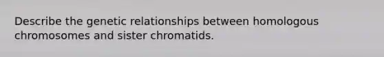 Describe the genetic relationships between homologous chromosomes and sister chromatids.