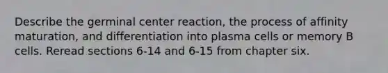 Describe the germinal center reaction, the process of affinity maturation, and differentiation into plasma cells or memory B cells. Reread sections 6-14 and 6-15 from chapter six.