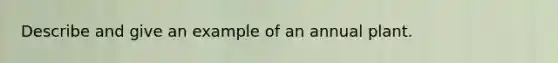 Describe and give an example of an annual plant.