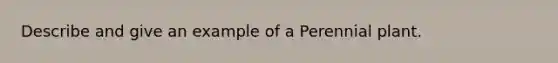 Describe and give an example of a Perennial plant.