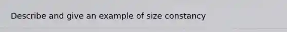 Describe and give an example of size constancy