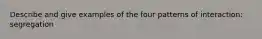 Describe and give examples of the four patterns of interaction: segregation