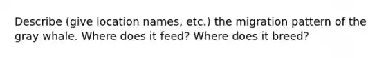 Describe (give location names, etc.) the migration pattern of the gray whale. Where does it feed? Where does it breed?