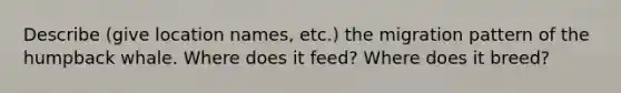 Describe (give location names, etc.) the migration pattern of the humpback whale. Where does it feed? Where does it breed?