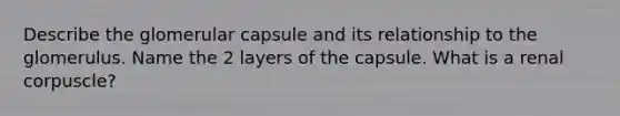 Describe the glomerular capsule and its relationship to the glomerulus. Name the 2 layers of the capsule. What is a renal corpuscle?