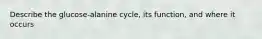 Describe the glucose-alanine cycle, its function, and where it occurs