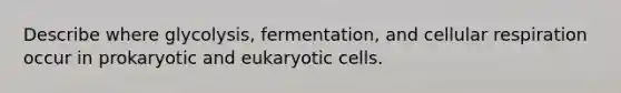 Describe where glycolysis, fermentation, and cellular respiration occur in prokaryotic and eukaryotic cells.