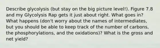 Describe glycolysis (but stay on the big picture level!). Figure 7.8 and my Glycolysis Rap gets it just about right. What goes in? What happens (don't worry about the names of intermediates, but you should be able to keep track of the number of carbons, the phosphorylations, and the oxidations)? What is the gross and net yield?