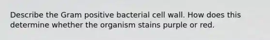 Describe the Gram positive bacterial cell wall. How does this determine whether the organism stains purple or red.