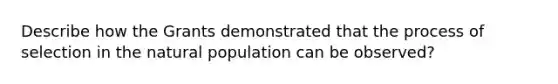 Describe how the Grants demonstrated that the process of selection in the natural population can be observed?