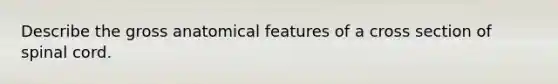 Describe the gross anatomical features of a cross section of spinal cord.