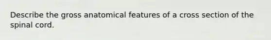 Describe the gross anatomical features of a cross section of the spinal cord.