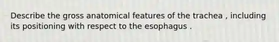 Describe the gross anatomical features of the trachea , including its positioning with respect to the esophagus .