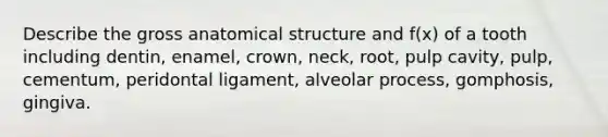 Describe the gross anatomical structure and f(x) of a tooth including dentin, enamel, crown, neck, root, pulp cavity, pulp, cementum, peridontal ligament, alveolar process, gomphosis, gingiva.