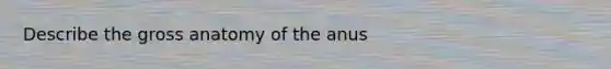 Describe the gross anatomy of the anus