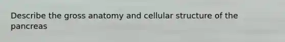 Describe the gross anatomy and cellular structure of the pancreas