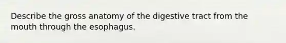 Describe the gross anatomy of the digestive tract from <a href='https://www.questionai.com/knowledge/krBoWYDU6j-the-mouth' class='anchor-knowledge'>the mouth</a> through <a href='https://www.questionai.com/knowledge/kSjVhaa9qF-the-esophagus' class='anchor-knowledge'>the esophagus</a>.