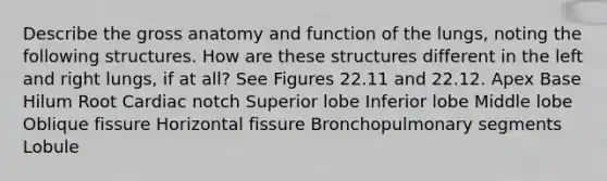 Describe the gross anatomy and function of the lungs, noting the following structures. How are these structures different in the left and right lungs, if at all? See Figures 22.11 and 22.12. Apex Base Hilum Root Cardiac notch Superior lobe Inferior lobe Middle lobe Oblique fissure Horizontal fissure Bronchopulmonary segments Lobule