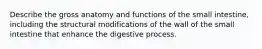 Describe the gross anatomy and functions of the small intestine, including the structural modifications of the wall of the small intestine that enhance the digestive process.