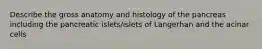 Describe the gross anatomy and histology of the pancreas including the pancreatic islets/islets of Langerhan and the acinar cells