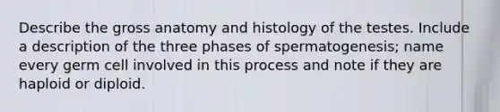 Describe the gross anatomy and histology of the testes. Include a description of the three phases of spermatogenesis; name every germ cell involved in this process and note if they are haploid or diploid.