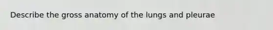 Describe the gross anatomy of the lungs and pleurae