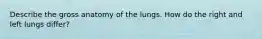 Describe the gross anatomy of the lungs. How do the right and left lungs differ?