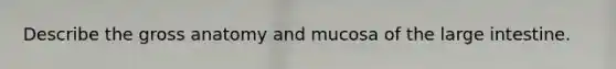 Describe the gross anatomy and mucosa of the large intestine.