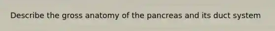 Describe the gross anatomy of the pancreas and its duct system