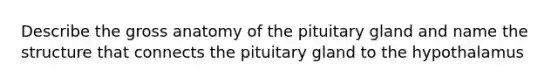 Describe the gross anatomy of the pituitary gland and name the structure that connects the pituitary gland to the hypothalamus