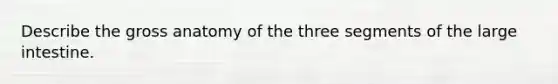 Describe the gross anatomy of the three segments of the large intestine.