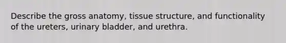 Describe the gross anatomy, tissue structure, and functionality of the ureters, urinary bladder, and urethra.