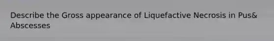 Describe the Gross appearance of Liquefactive Necrosis in Pus& Abscesses