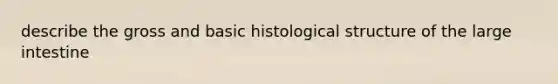 describe the gross and basic histological structure of the large intestine