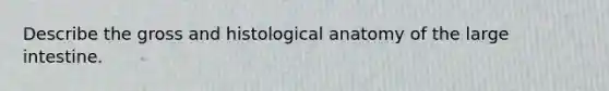 Describe the gross and histological anatomy of the large intestine.