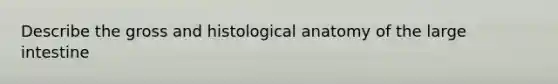 Describe the gross and histological anatomy of the large intestine