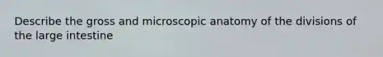 Describe the gross and microscopic anatomy of the divisions of the <a href='https://www.questionai.com/knowledge/kGQjby07OK-large-intestine' class='anchor-knowledge'>large intestine</a>