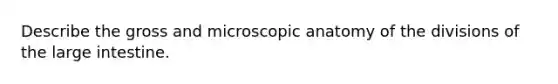 Describe the gross and microscopic anatomy of the divisions of the <a href='https://www.questionai.com/knowledge/kGQjby07OK-large-intestine' class='anchor-knowledge'>large intestine</a>.