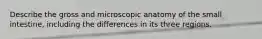 Describe the gross and microscopic anatomy of the small intestine, including the differences in its three regions.