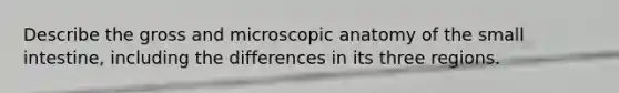 Describe the gross and microscopic anatomy of the small intestine, including the differences in its three regions.