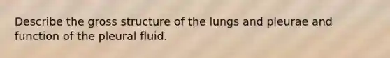 Describe the gross structure of the lungs and pleurae and function of the pleural fluid.