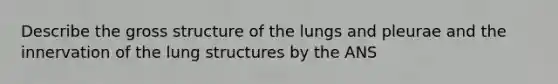 Describe the gross structure of the lungs and pleurae and the innervation of the lung structures by the ANS