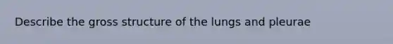 Describe the gross structure of the lungs and pleurae