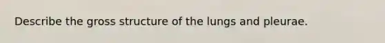 Describe the gross structure of the lungs and pleurae.